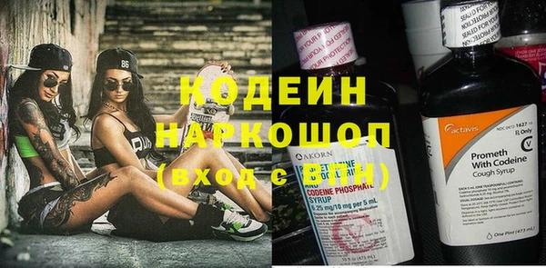 стаф Гусев