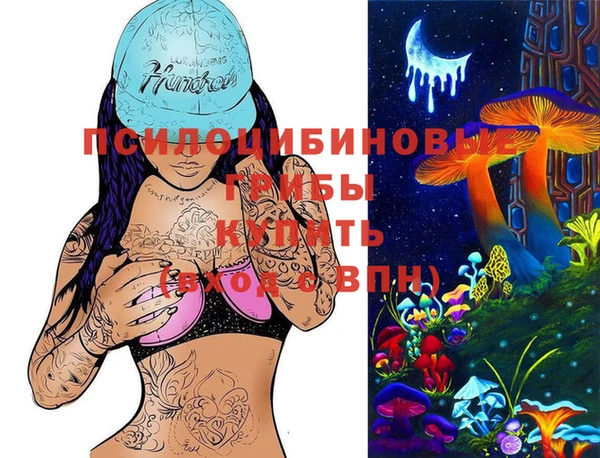 гашик Гусиноозёрск