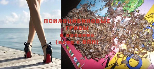 стаф Гусев