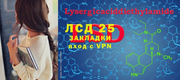 стаф Гусев