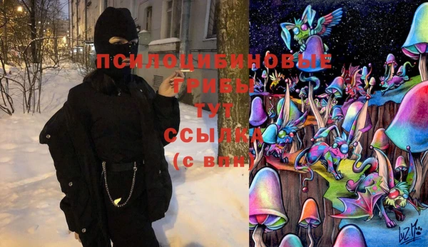 стаф Гусев