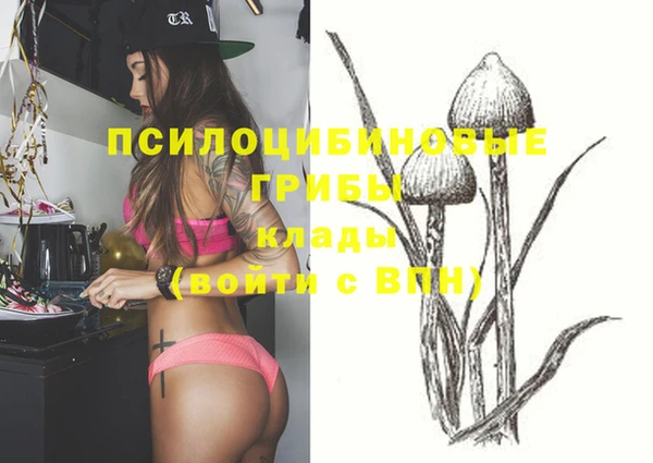 стаф Гусев