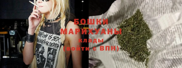 стаф Гусев