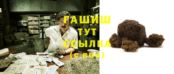 стаф Гусев