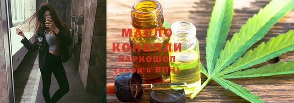 мяу мяу кристалл Гусь-Хрустальный