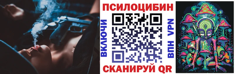 Купить закладки  Чудово  Псилоцибиновые грибы Psilocybe 